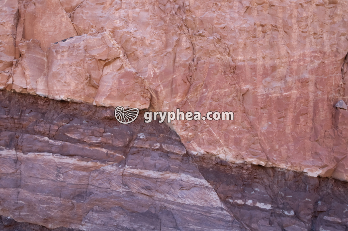 Faille Moab-2 - gryphea.com